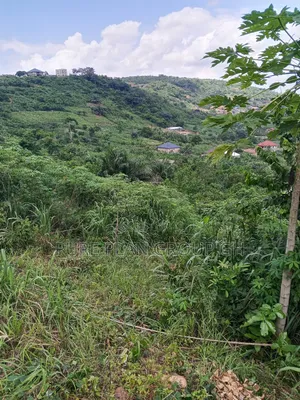 Land for Sale at Pokuase Adusah