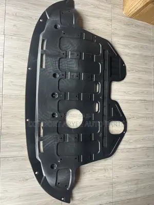 Shortage Engine Under Panel