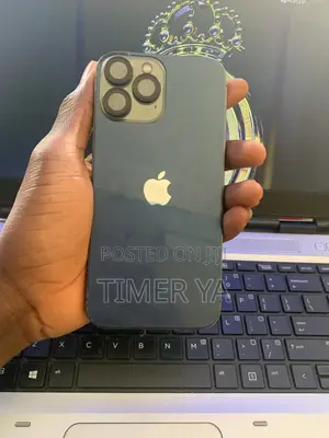 Apple iPhone 13 Pro Max 128 GB Gray