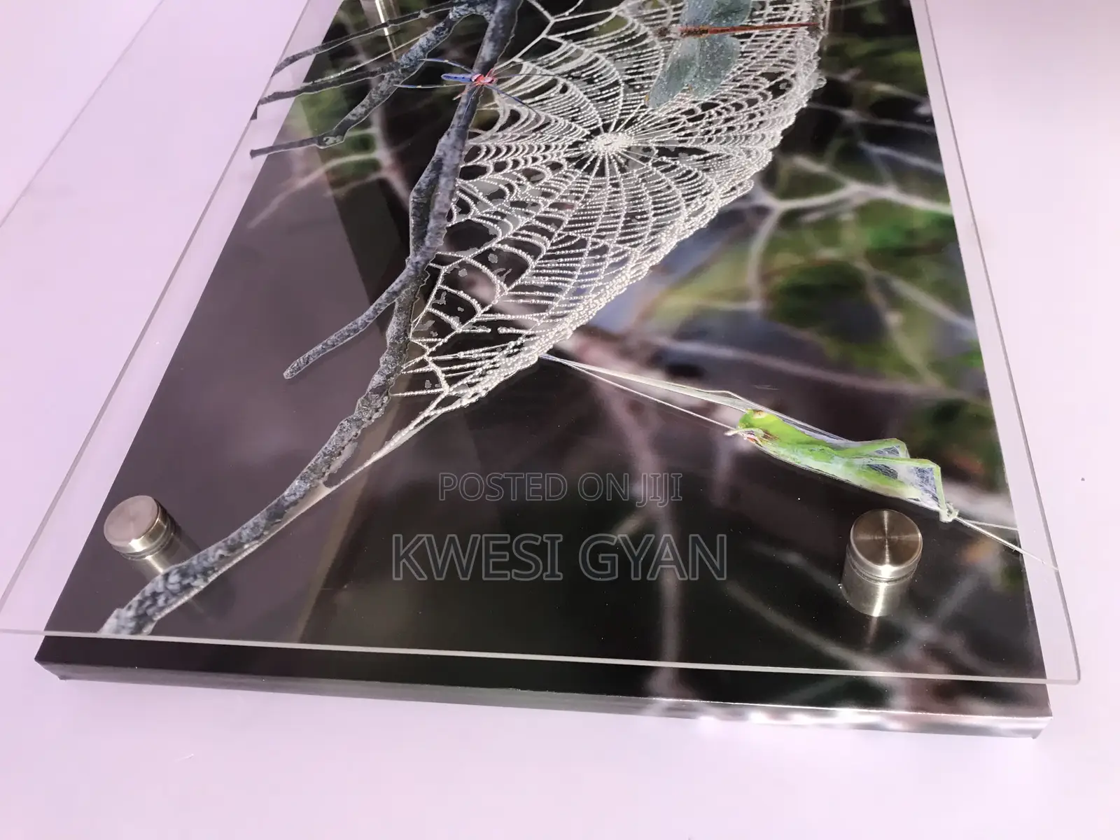 3d Layered Photo Mount