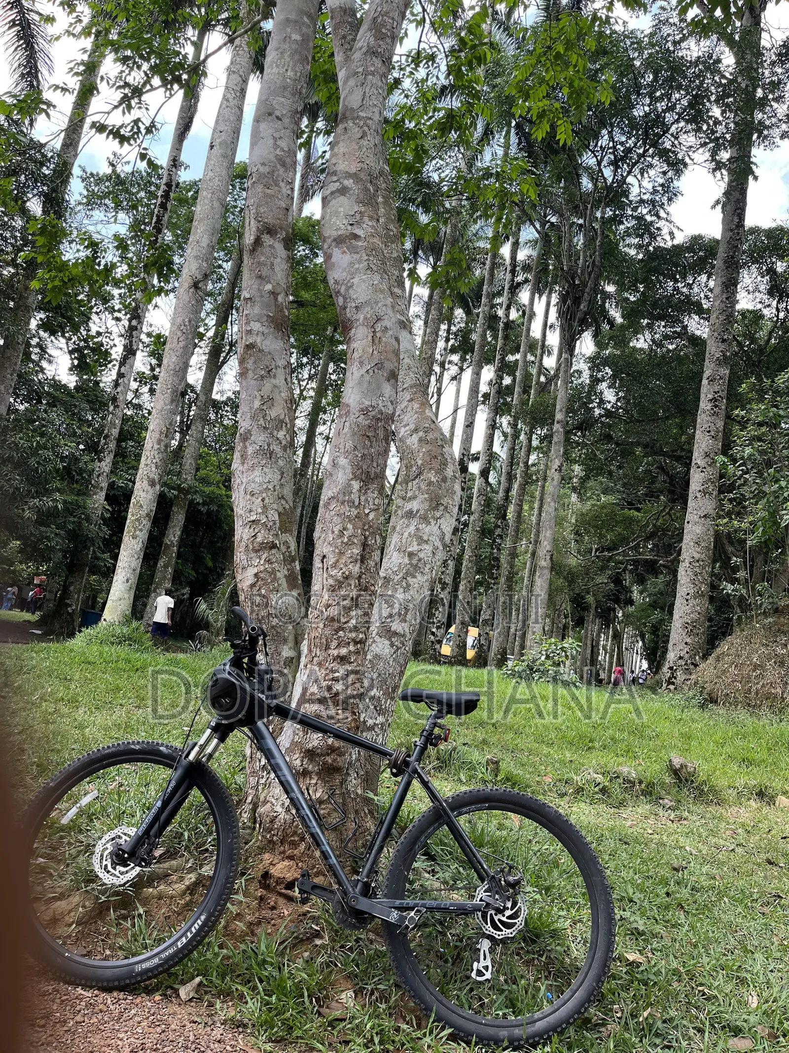 Correra MTB
