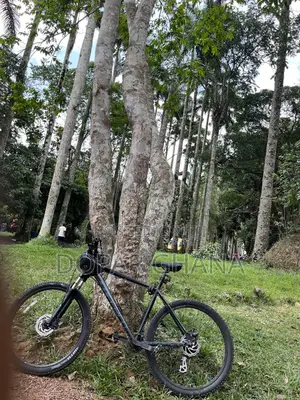 Correra MTB
