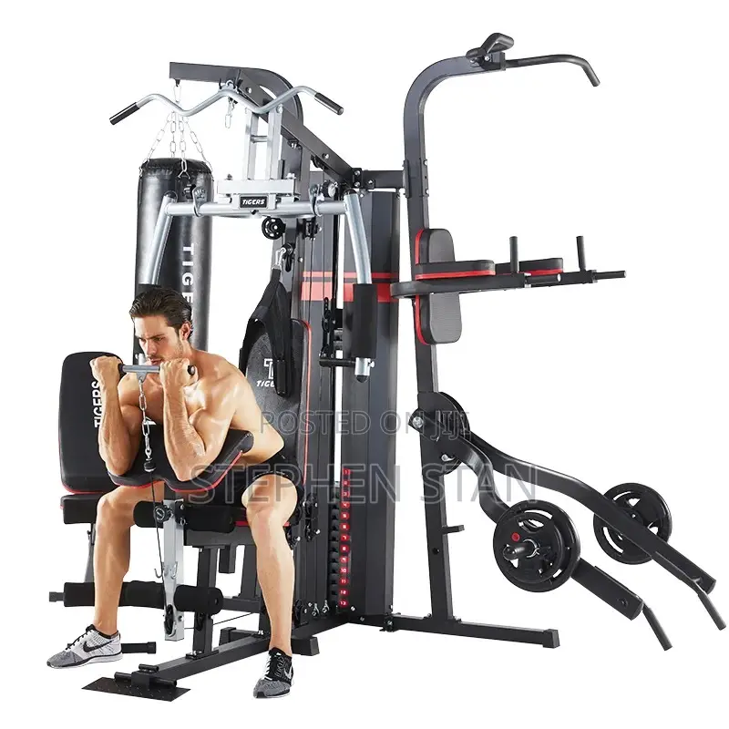 Tiger 4-Station Multi-Function Home Gym Machine With Punching Bag