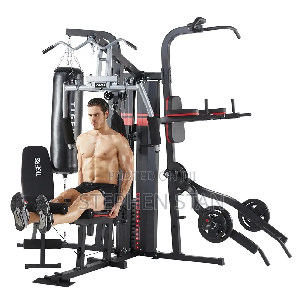 Tiger 4-Station Multi-Function Home Gym Machine With Punching Bag
