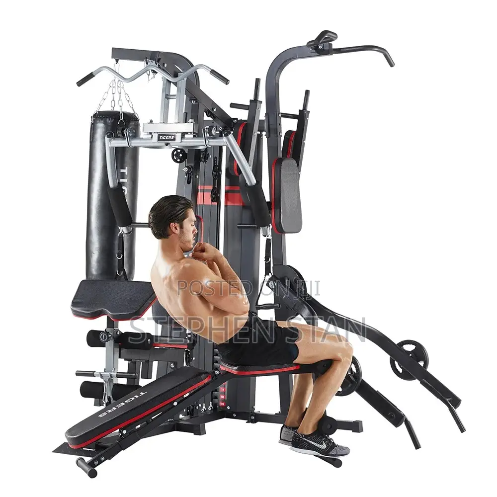 Tiger 4-Station Multi-Function Home Gym Machine With Punching Bag