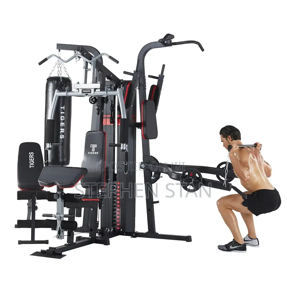 Tiger 4-Station Multi-Function Home Gym Machine With Punching Bag