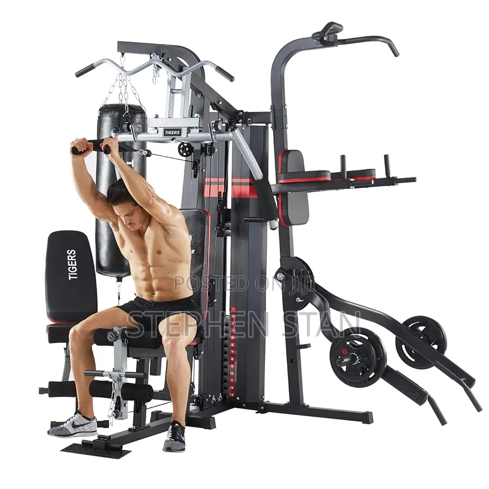 Tiger 4-Station Multi-Function Home Gym Machine With Punching Bag