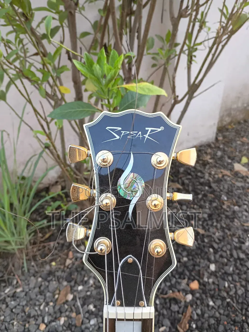 Spear Rd-250 Les Paul Guitar Golden Style