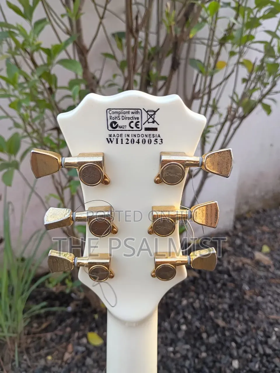 Spear Rd-250 Les Paul Guitar Golden Style