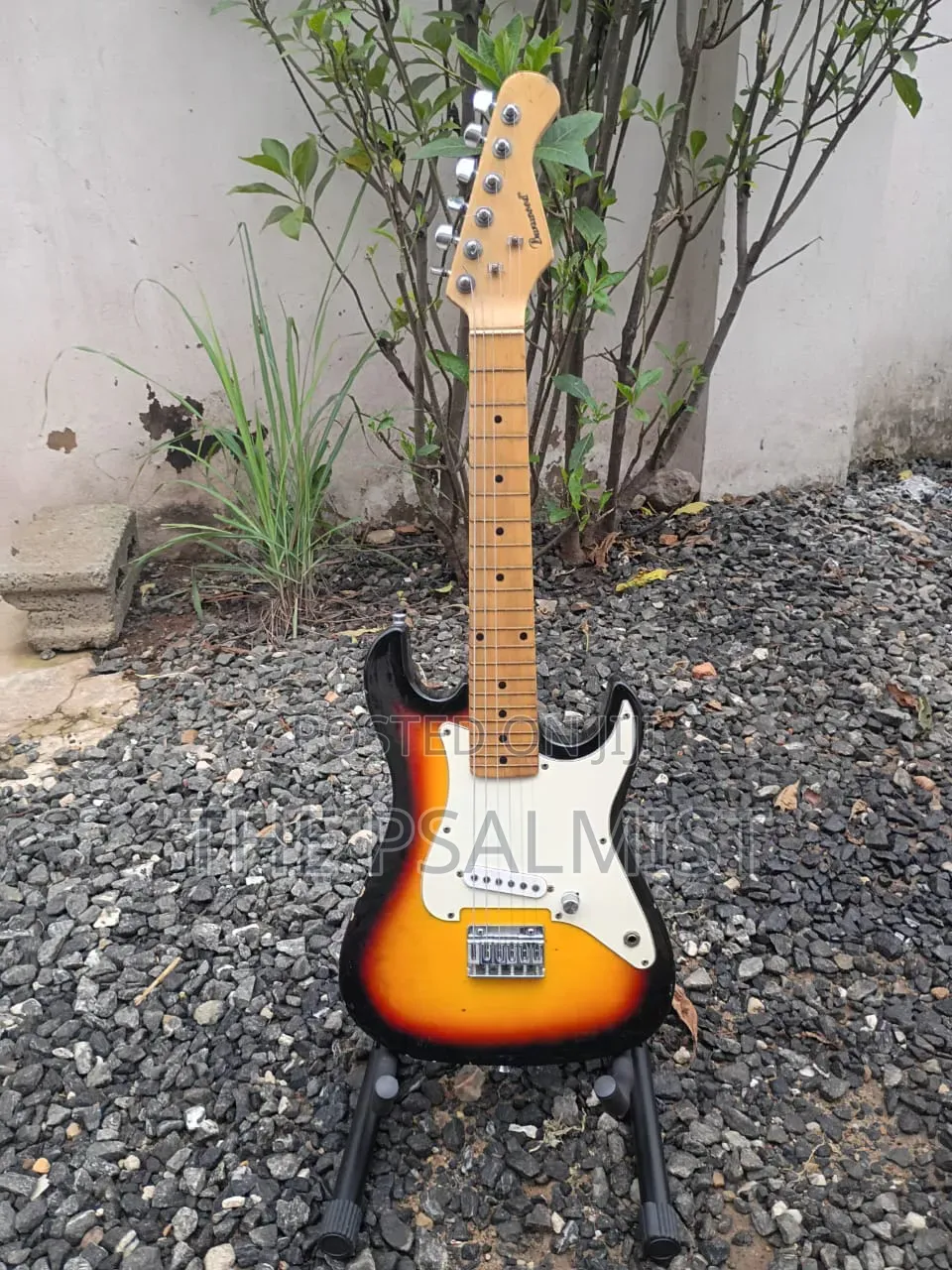 Burswood 3/4 Stratocaster Guitar