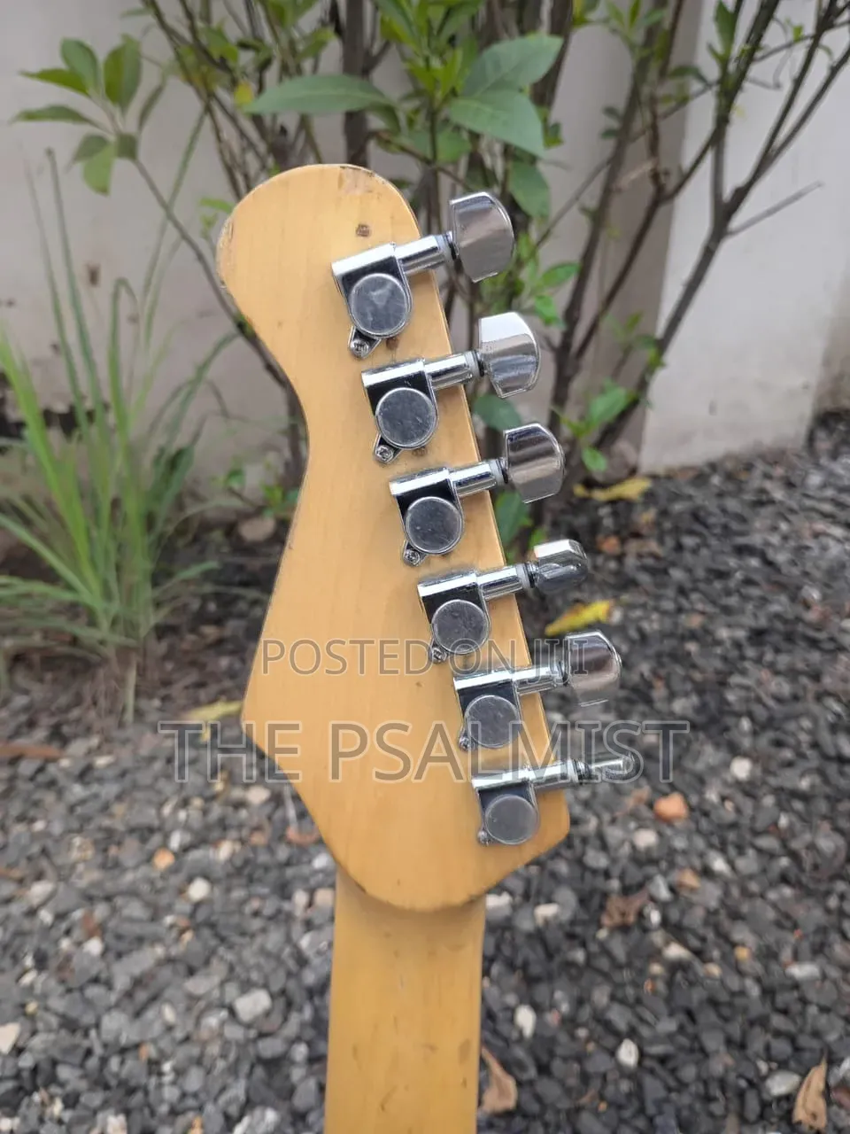 Burswood 3/4 Stratocaster Guitar