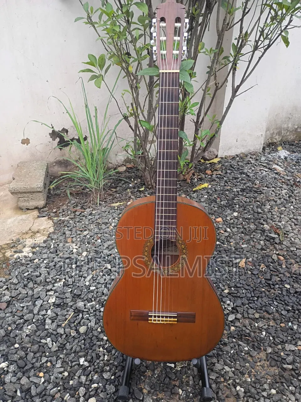 Kurosawa Classical Guitar in Hard Case