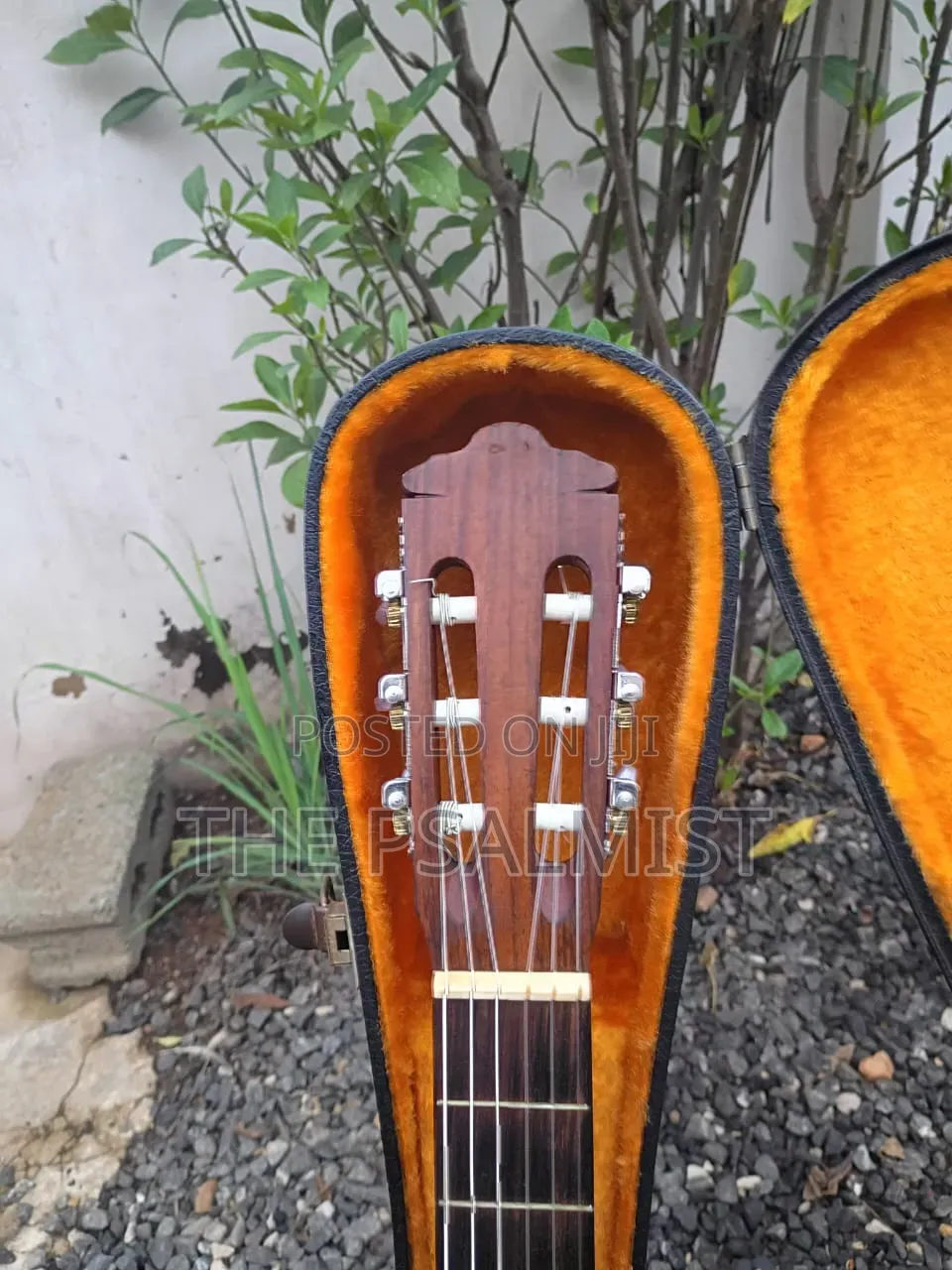 Kurosawa Classical Guitar in Hard Case