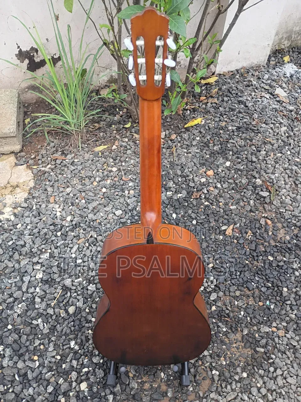 Kurosawa Classical Guitar in Hard Case