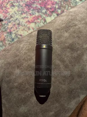 Nt1 Microphone