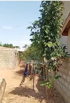 *Genuine Plot of Land Selling in the Owner House at Teshie Agblezaa