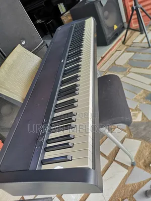 The Korg B1 Digital Piano