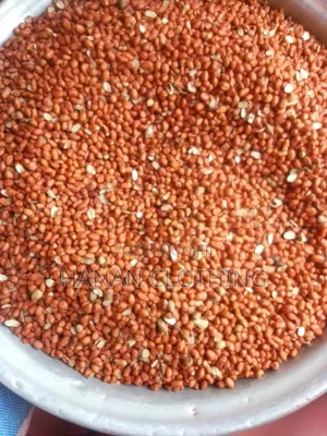 Ground Nut 