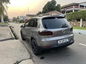 Volkswagen Tiguan 2013 Gray