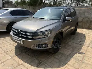 Volkswagen Tiguan 2013 Gray