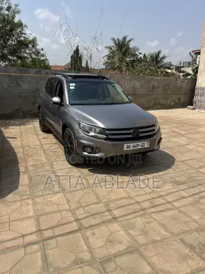 Volkswagen Tiguan 2013 Gray