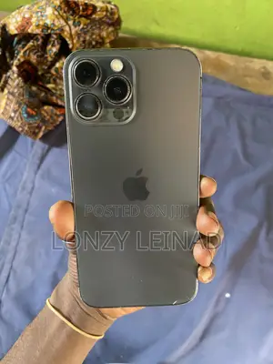 Apple iPhone 13 Pro Max 256 GB Gray