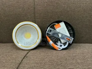 Bold Face Led Downlight