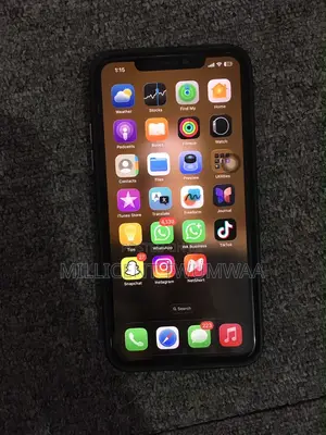 Apple iPhone 11 Pro Max 64 GB Gray