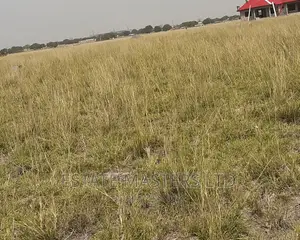 Problem Free Land on Promo