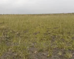 Problem Free Land on Promo