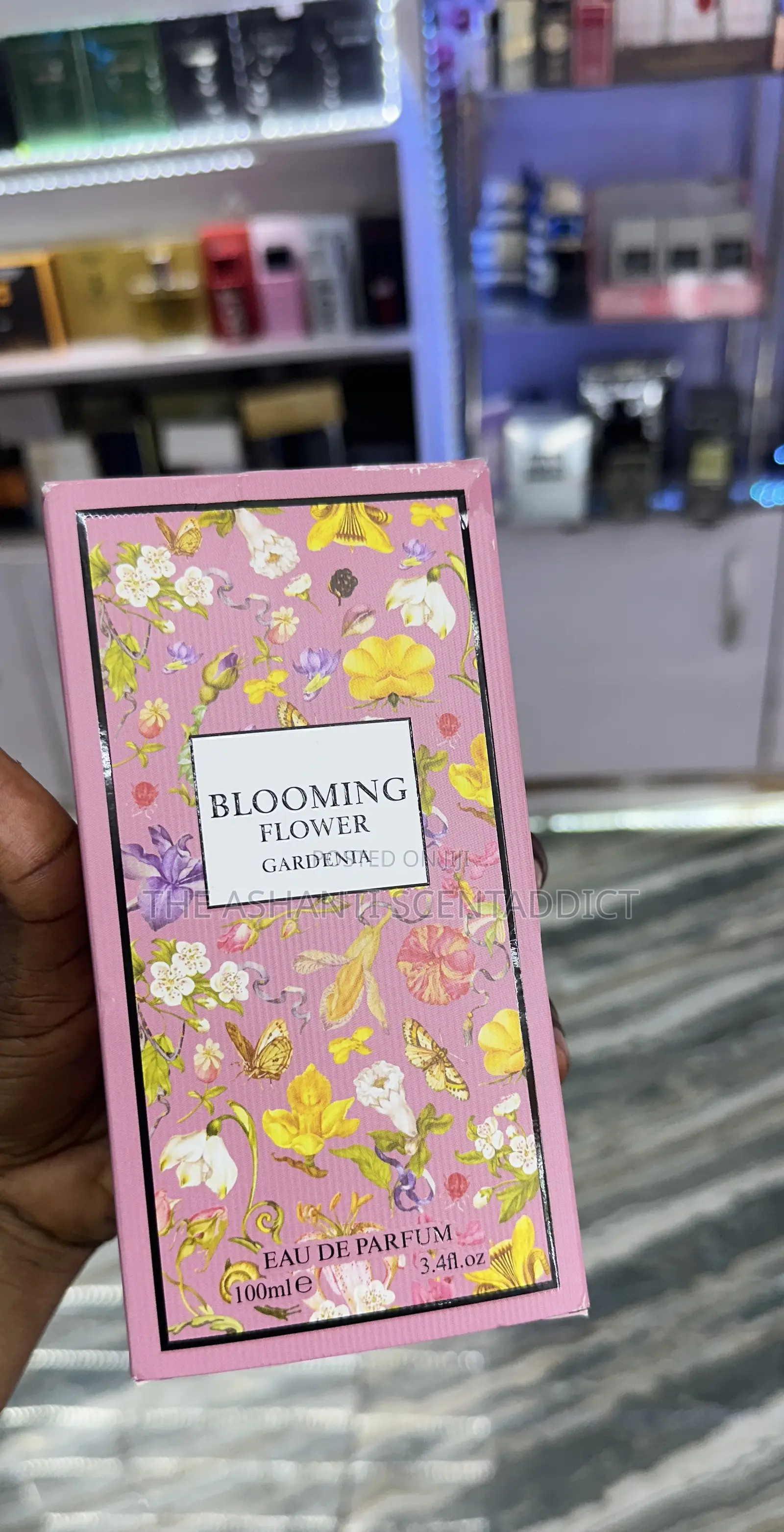 Blooming Flower Gardenia