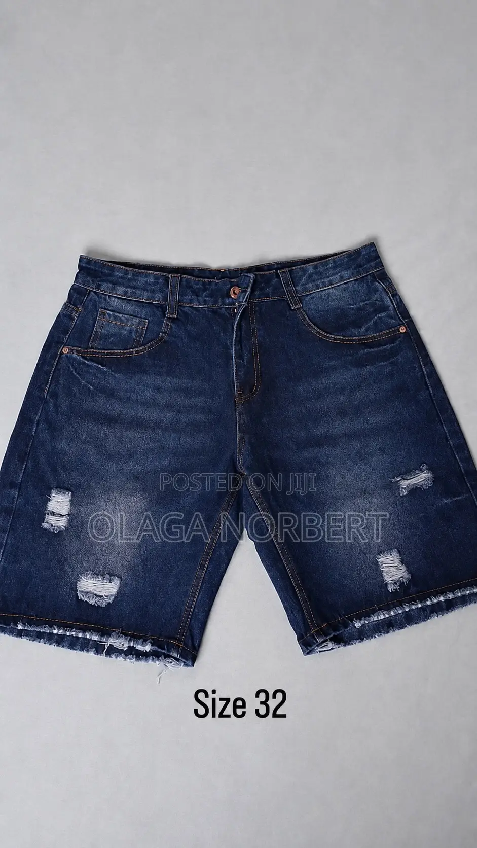 Norbert Collections 
