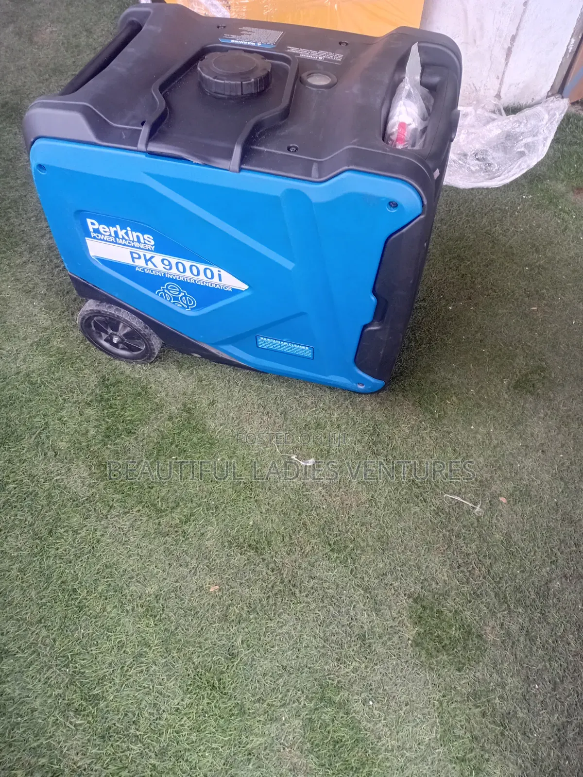 Professional-Grade Portable Generator