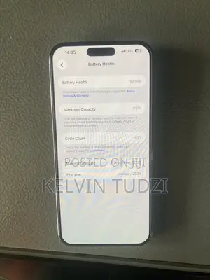 Apple iPhone 15 Pro Max 256 GB
