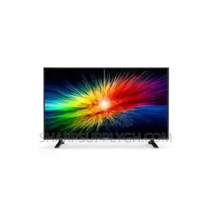 Skyvest Television