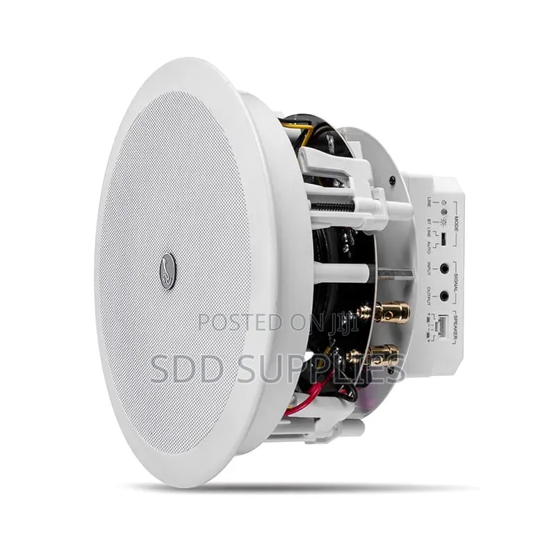 Hivi Alexa and Google Bluetooth Ceiling Speakers