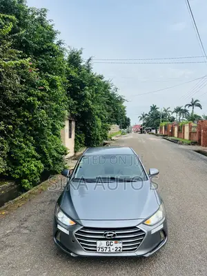 Hyundai Elantra Limited Sedan FWD (2.0L 4cyl 6A) 2017 Gray