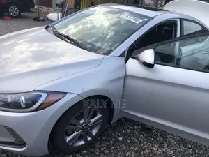 Hyundai Elantra 2017 Silver