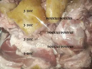 Well Packaged Fresh / Frozen Pork for Sale