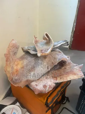 Cow Fat, Bones and Skin Available.