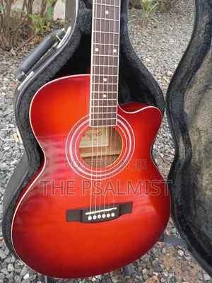 Sepia Crue Eaw-01 Rds Semi Acoustic Guitar