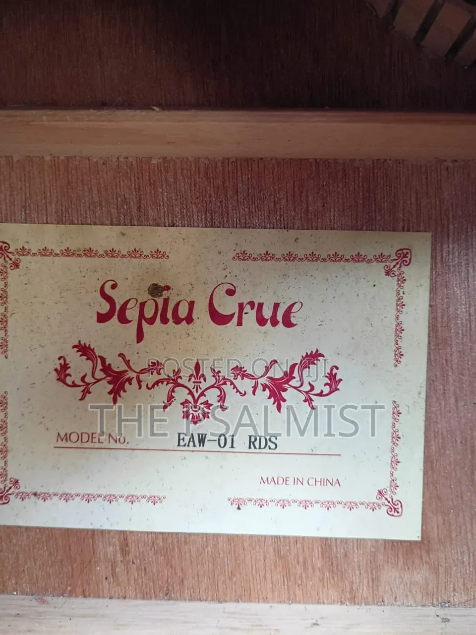 Sepia Crue Eaw-01 Rds Semi Acoustic Guitar