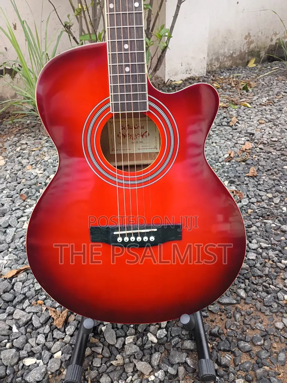 Sepia Crue Eaw-01 Rds Semi Acoustic Guitar