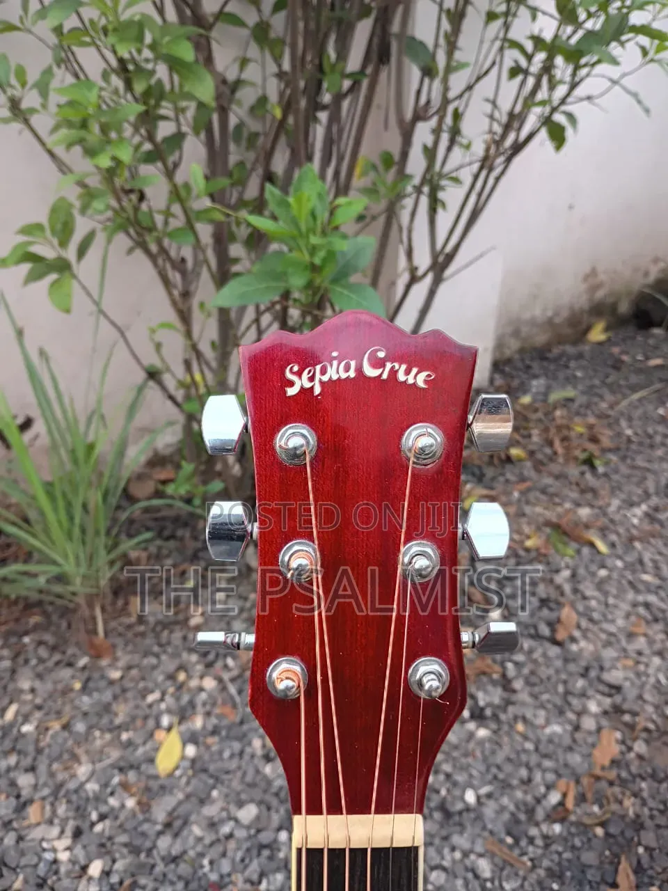 Sepia Crue Eaw-01 Rds Semi Acoustic Guitar