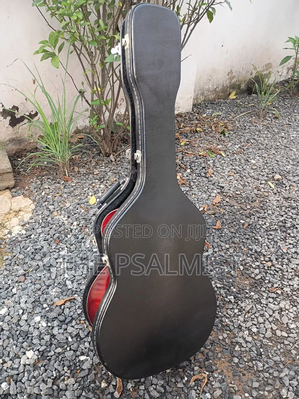 Sepia Crue Eaw-01 Rds Semi Acoustic Guitar