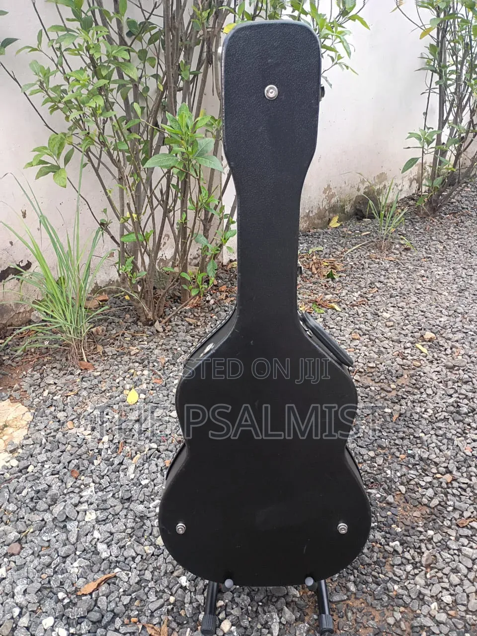 Sepia Crue Eaw-01 Rds Semi Acoustic Guitar