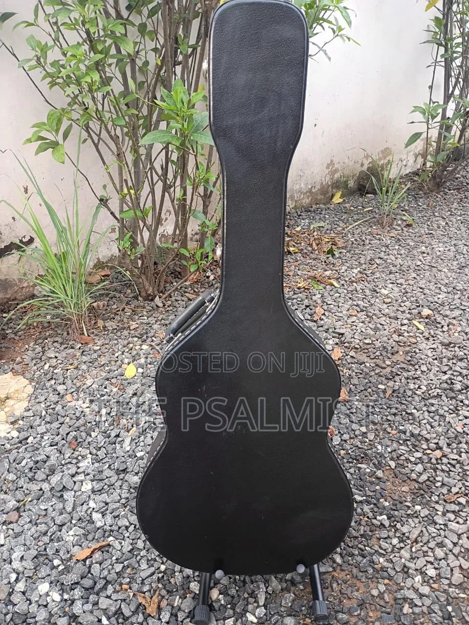 Sepia Crue Eaw-01 Rds Semi Acoustic Guitar