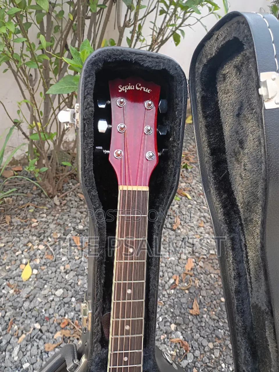 Sepia Crue Eaw-01 Rds Semi Acoustic Guitar