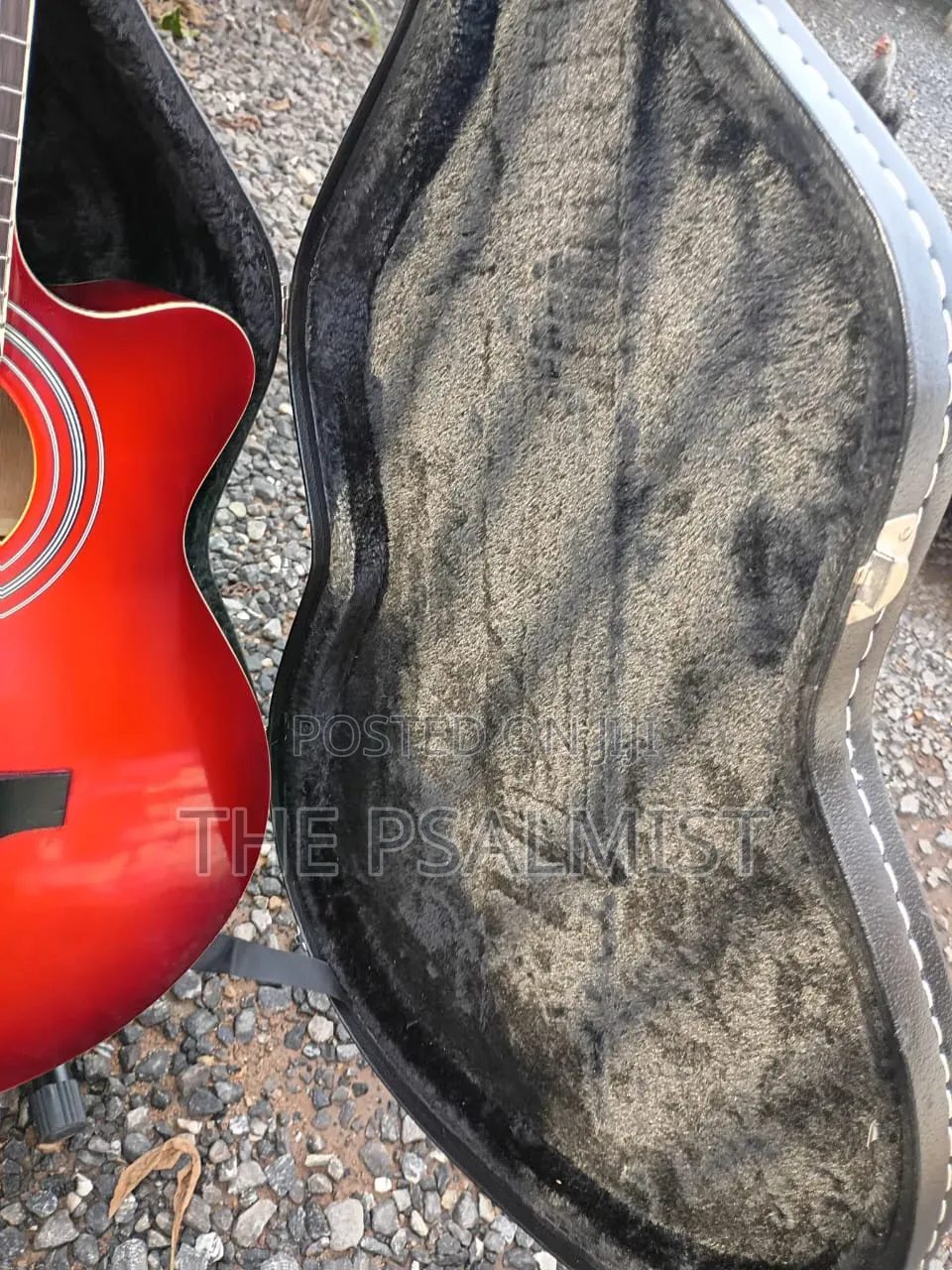 Sepia Crue Eaw-01 Rds Semi Acoustic Guitar