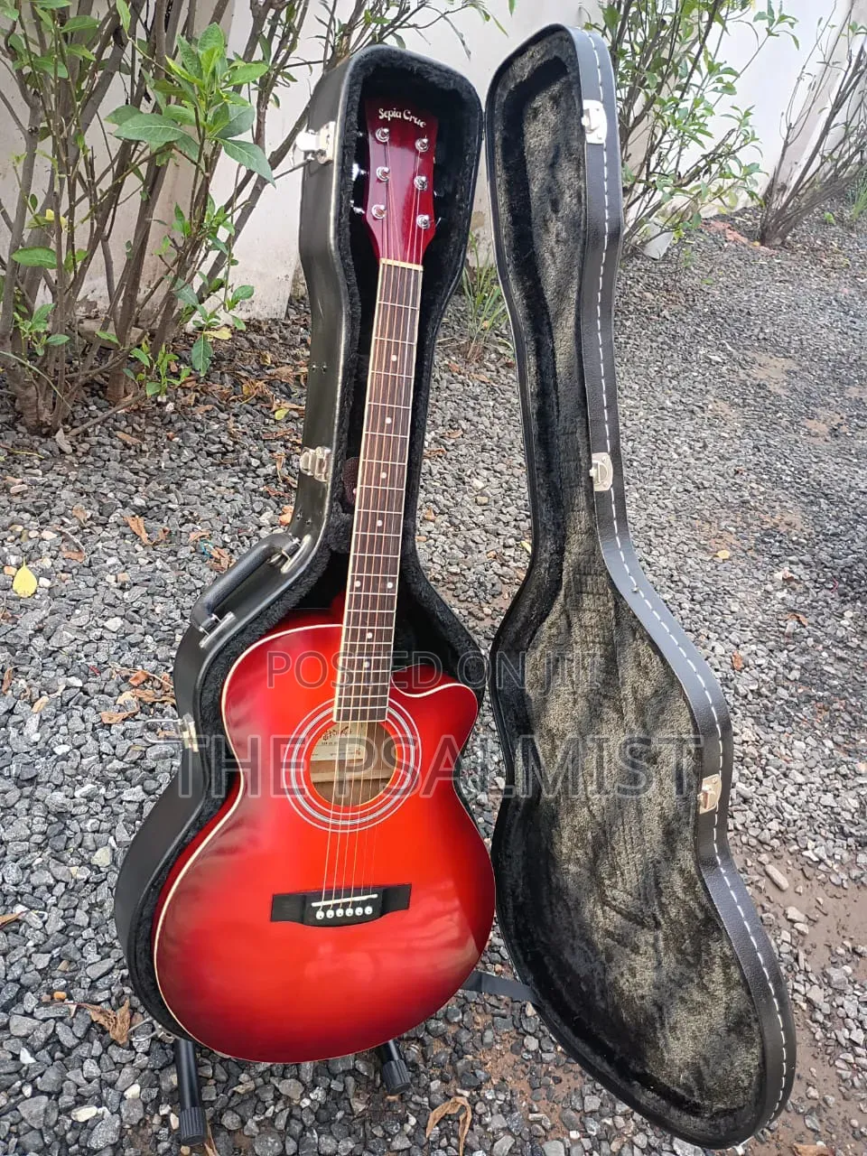 Sepia Crue Eaw-01 Rds Semi Acoustic Guitar